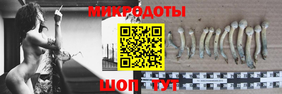 Котельники  Галлюциногенные грибы прущие грибы  Вход с VPN  Галлюциногенные грибы прущие грибы 